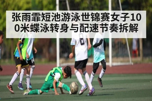 张雨霏短池游泳世锦赛女子100米蝶泳转身与配速节奏拆解