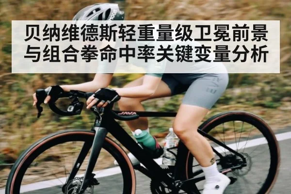 贝纳维德斯轻重量级卫冕前景与组合拳命中率关键变量分析